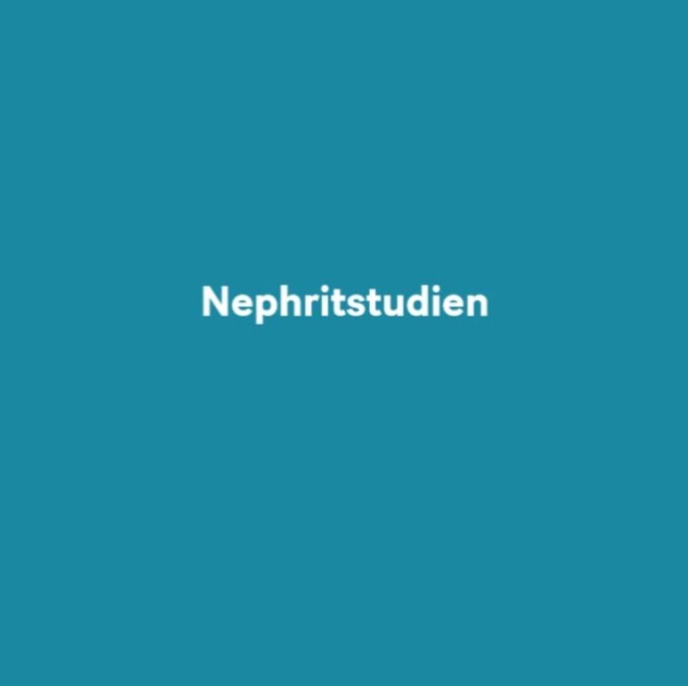 Nephritstudien