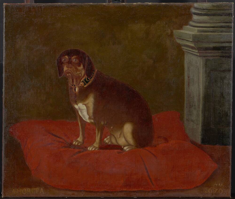 Porträt der Hündin „Amorita“ und Hundehalsbänder