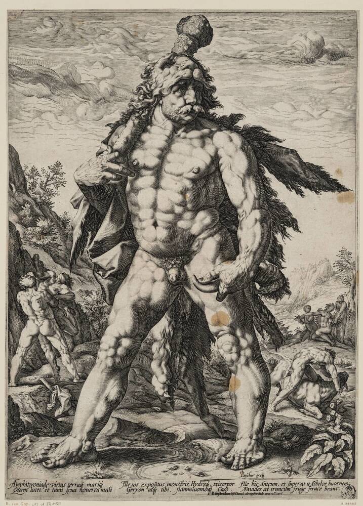 Der große Herkules oder "Knollenmann" (Kopie nach Goltzius)