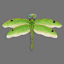Die Libelle