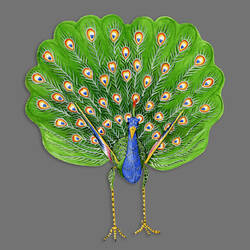 Flachdrachen