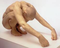 Untitled (Shaved Head)