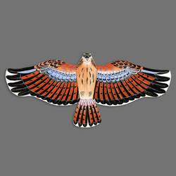 Der Adler